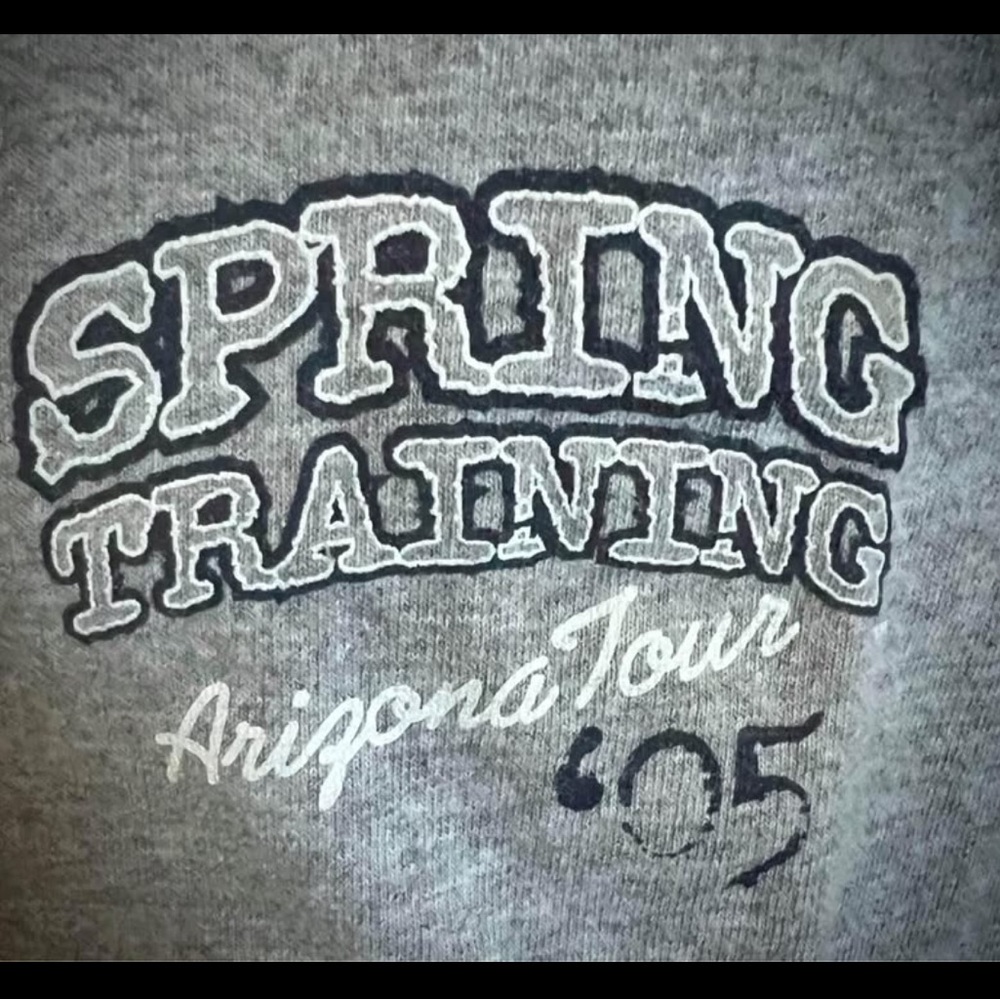 MLB AUTHENTIC Cactus League Gear Spring Training Gray SS Tee NWOT